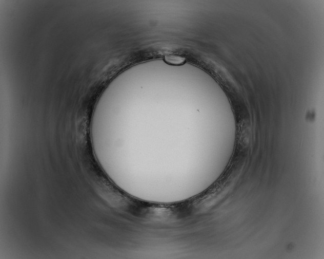 X0000100850509200807070936