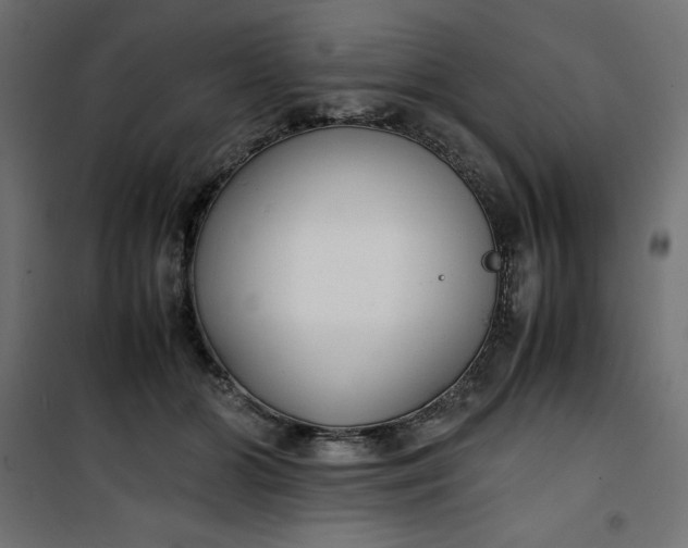 X0000100850510200807070936