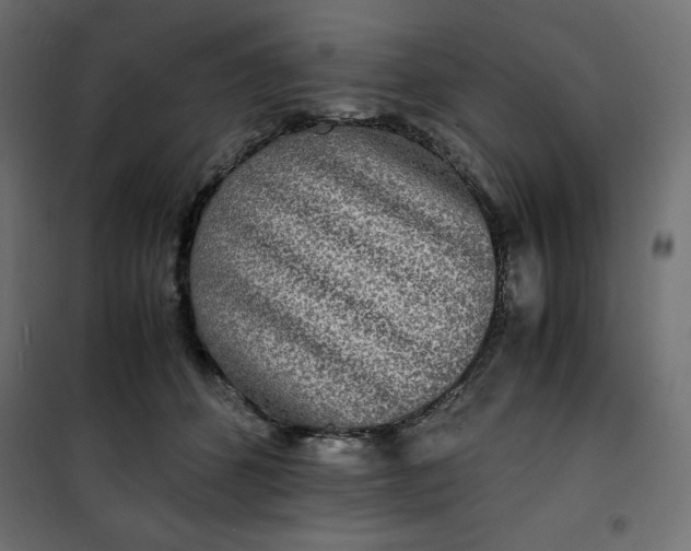 X0000100850512200807070936