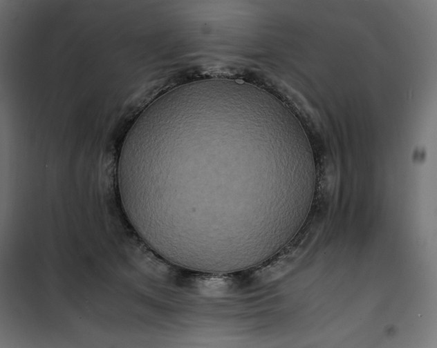 X0000100850513200807070936