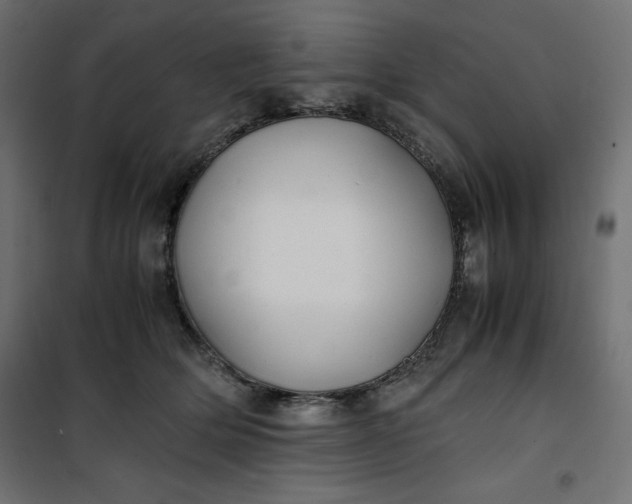 X0000100850514200807070936