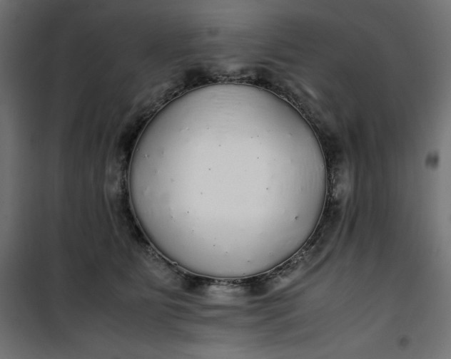 X0000100850515200807070936