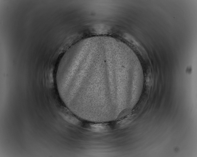 X0000100850516200807070936