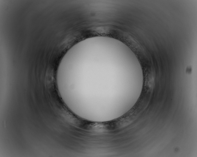 X0000100850518200807070936