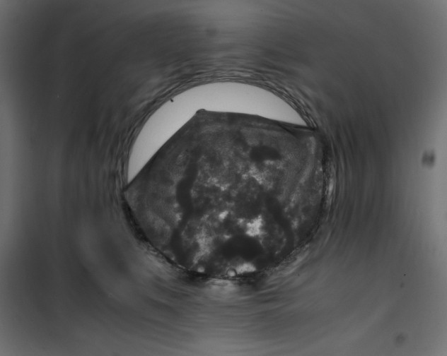 X0000100850519200807070936