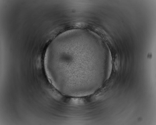 X0000100850520200807070936