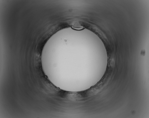 X0000100850521200807070936