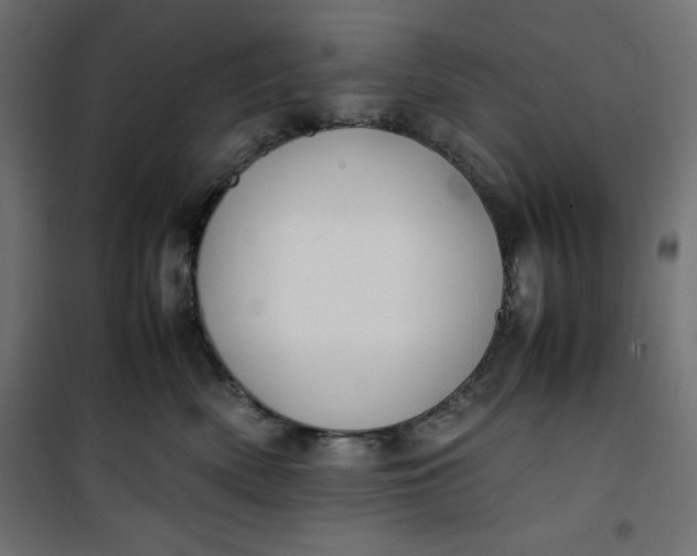 X0000100850522200807070936