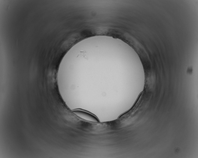 X0000100850525200807070936