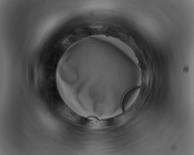 X0000100850526200807070936