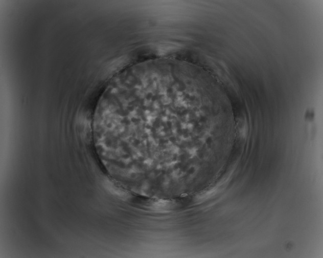 X0000100850527200807070936