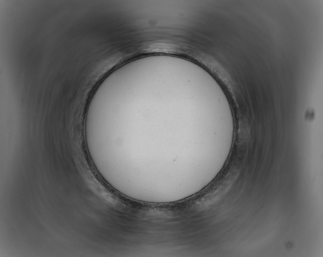 X0000100850529200807070935