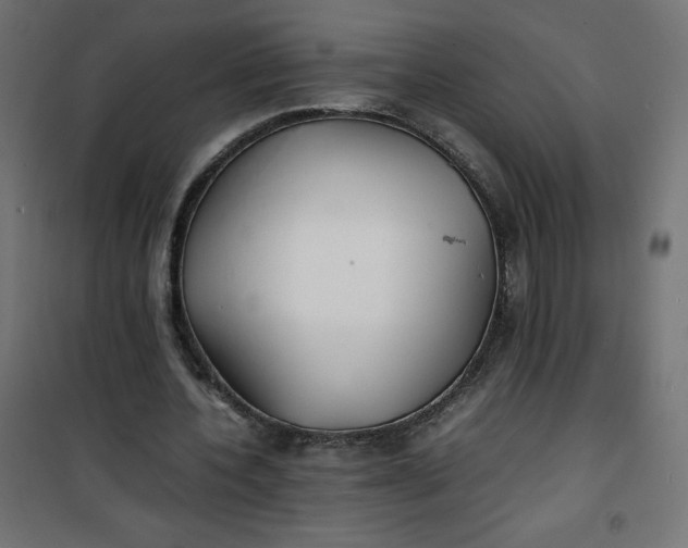 X0000100850532200807070935