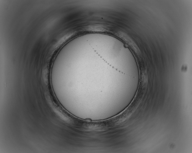 X0000100850533200807070935