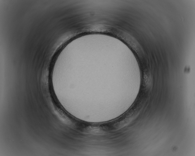 X0000100850534200807070935