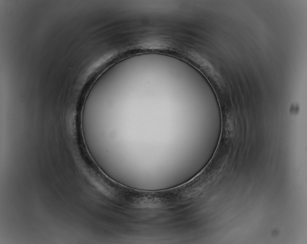 X0000100850535200807070935