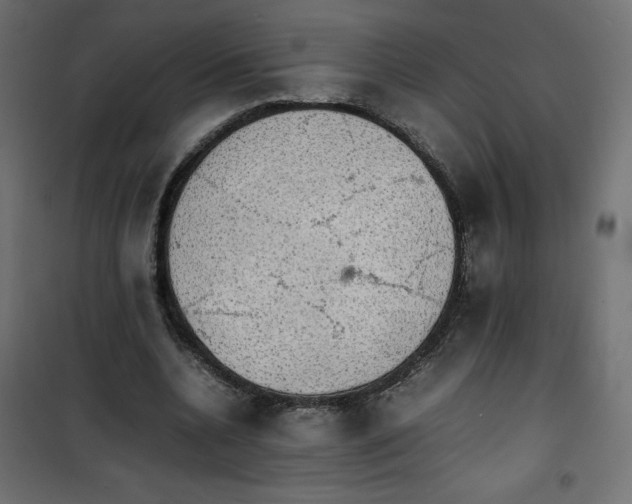 X0000100850536200807070935