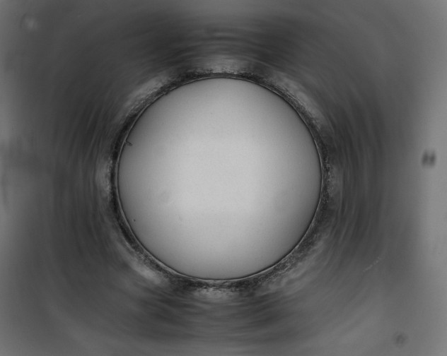 X0000100850537200807070935