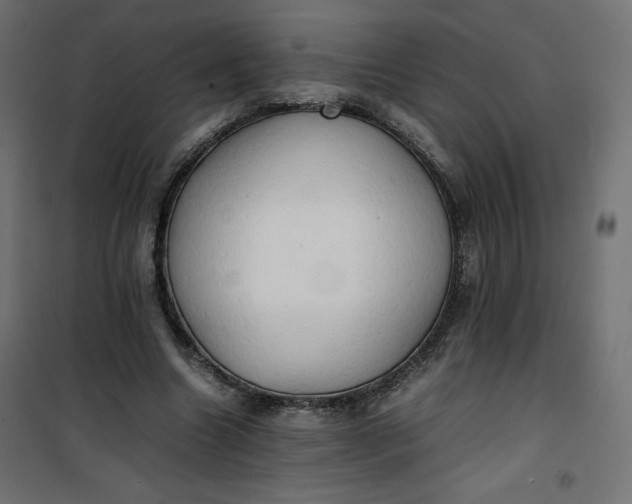 X0000100850538200807070935