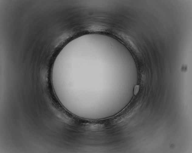 X0000100850539200807070935