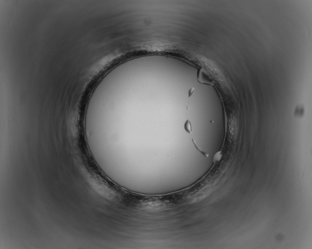 X0000100850540200807070935