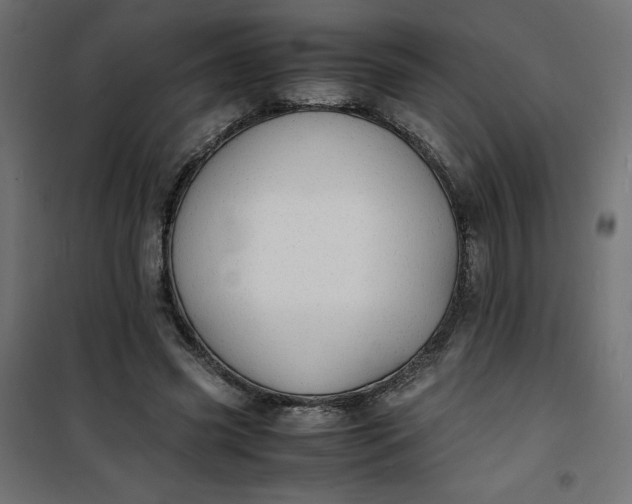 X0000100850541200807070935