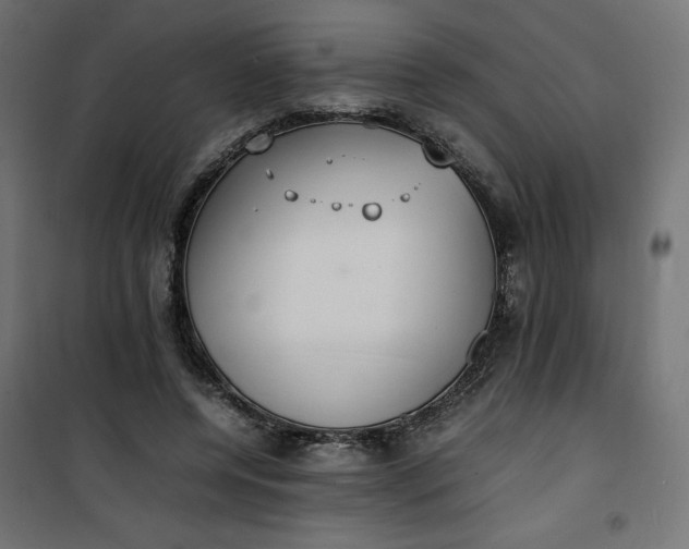 X0000100850544200807070936