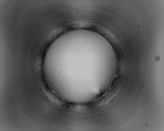 X0000100850546200807070936