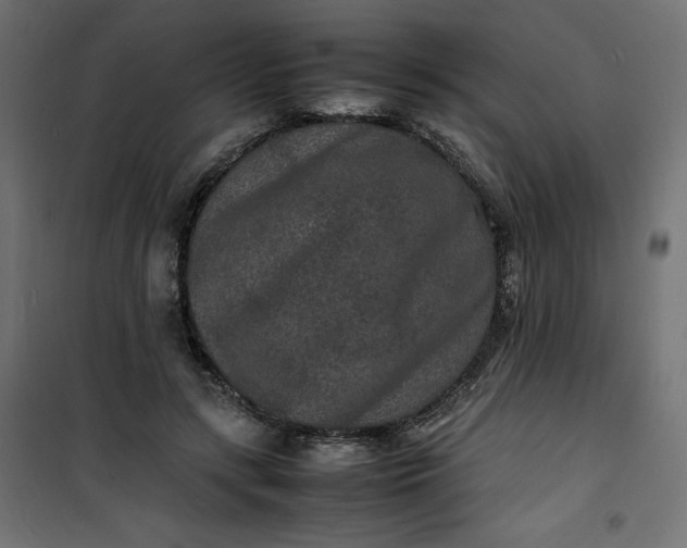 X0000100850547200807070936