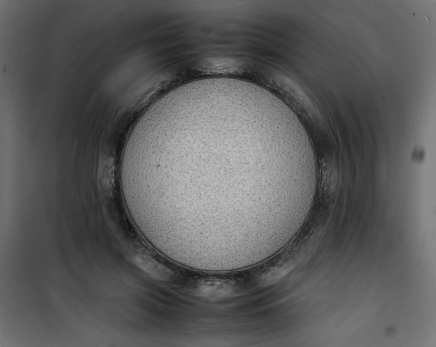 X0000100850549200807070936