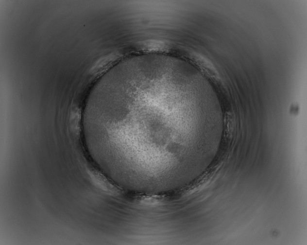 X0000100850550200807070936