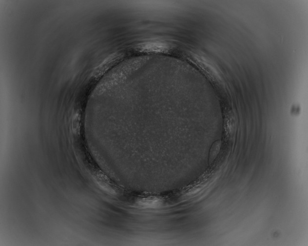 X0000100850551200807070936