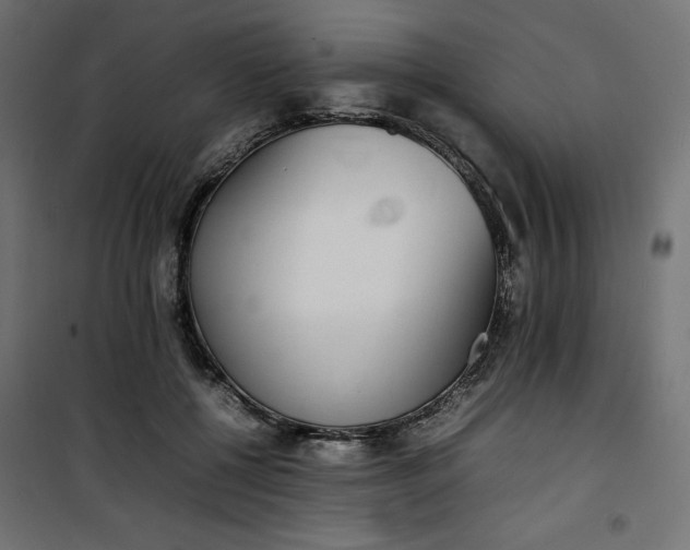 X0000100850552200807070936