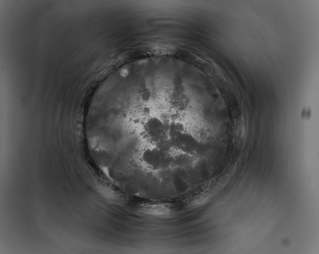 X0000100850553200807070936