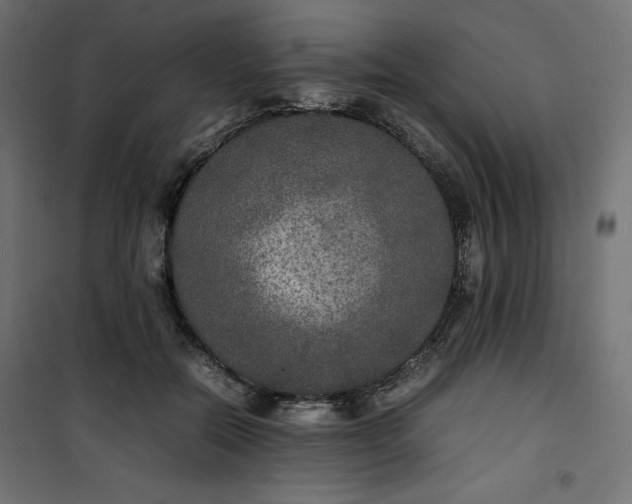 X0000100850554200807070936