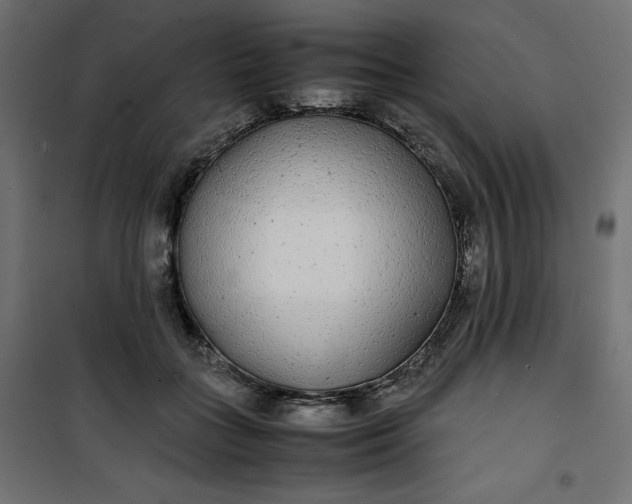 X0000100850555200807070936