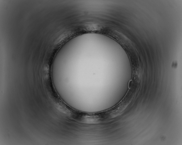 X0000100850556200807070936