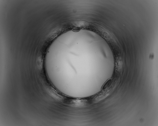 X0000100850558200807070936