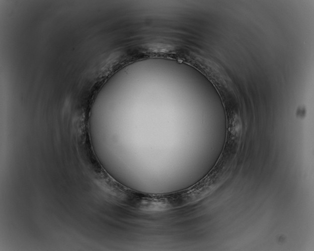 X0000100850559200807070936