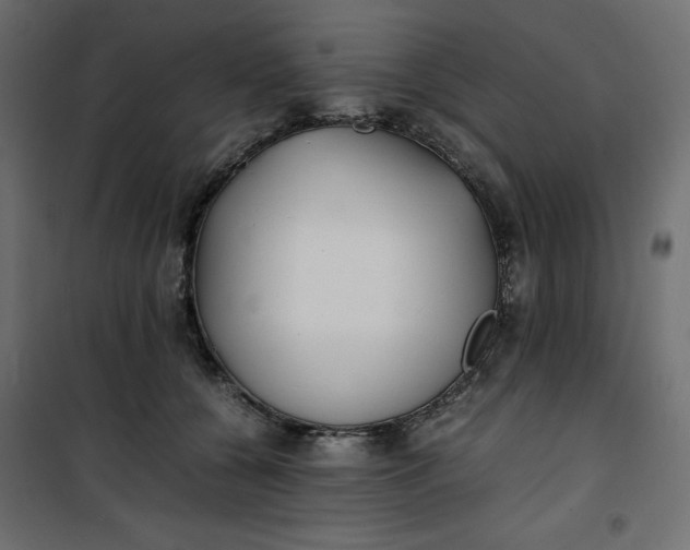 X0000100850560200807070936