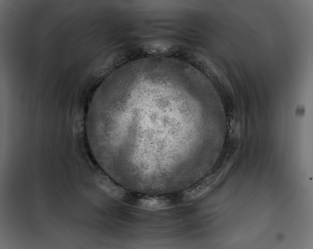 X0000100850561200807070936