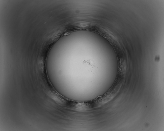 X0000100850562200807070936