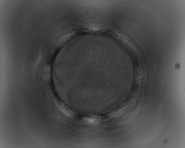 X0000100850563200807070936