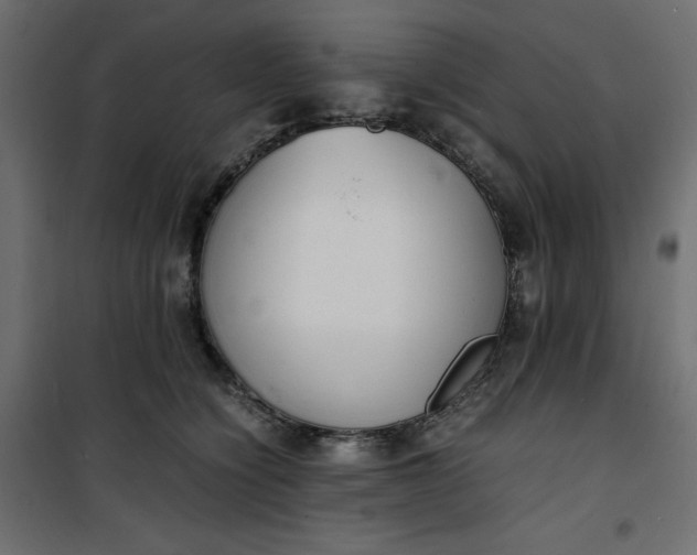 X0000100850564200807070936