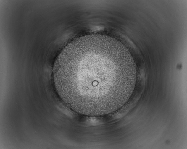 X0000100850565200807070936