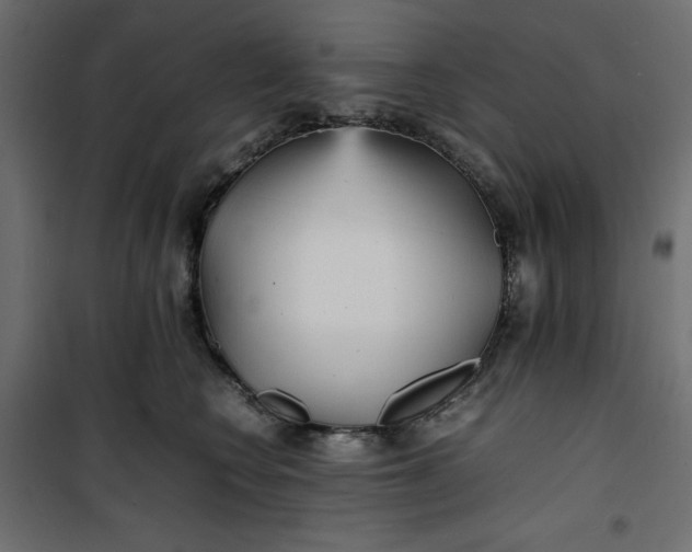 X0000100850566200807070936