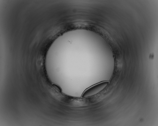 X0000100850567200807070936