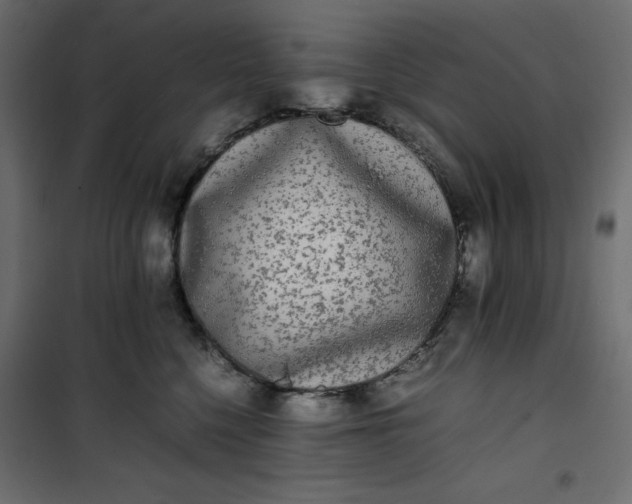 X0000100850568200807070936