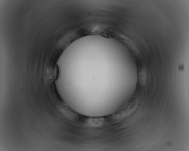 X0000100850571200807070936