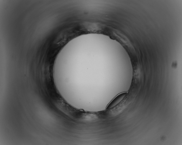 X0000100850572200807070936